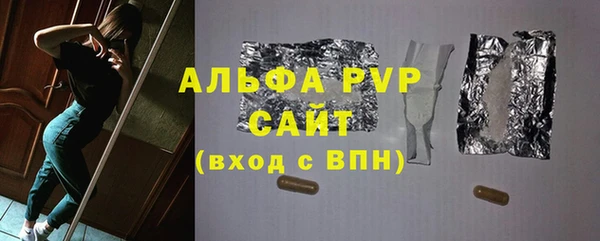 эйфоретик Вяземский