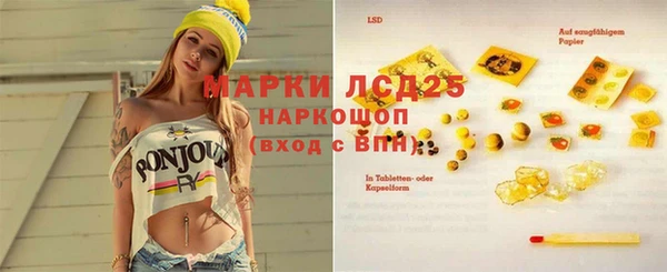 эйфоретик Вяземский